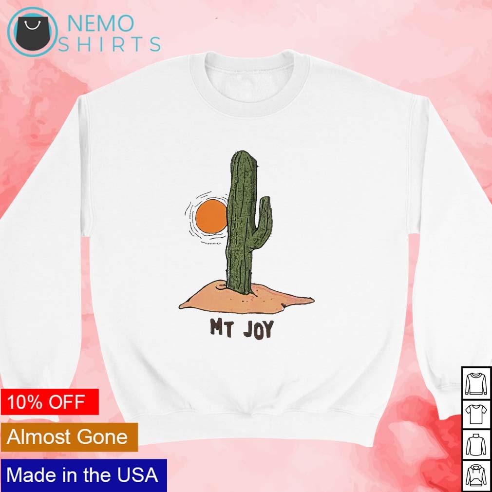 Mt joy online hoodie