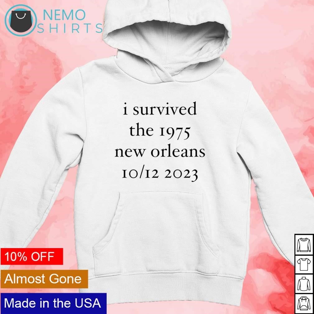 THE 1975 WHAT A SHAME HOODIE-