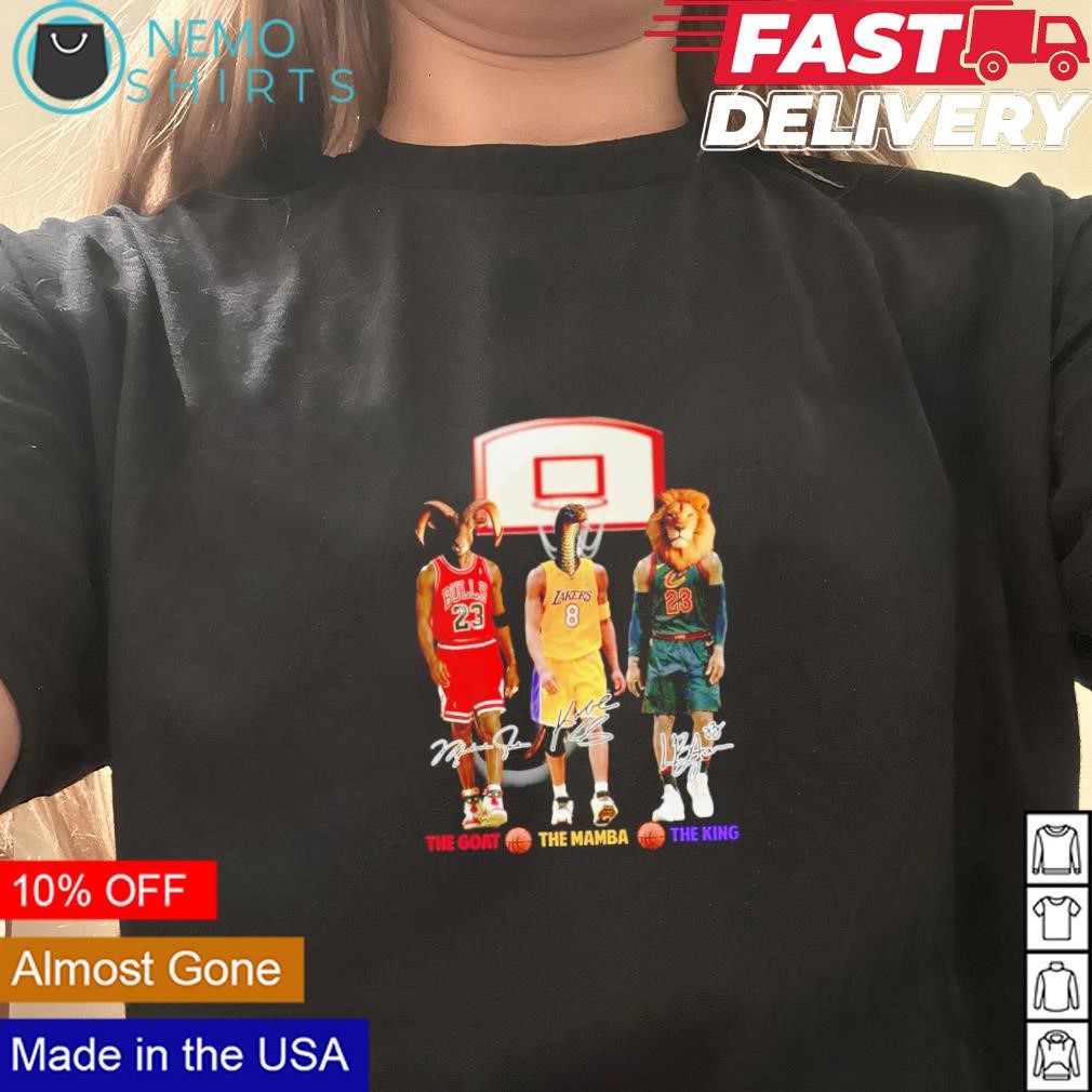 kobe lebron jordan t shirt