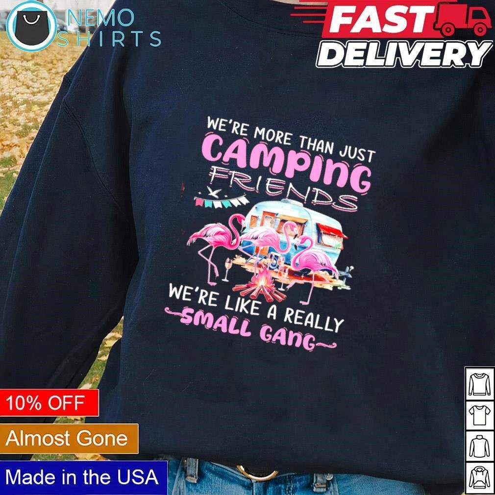 We're More Than Just Camping Friends Flamingo Gift T-Shirt