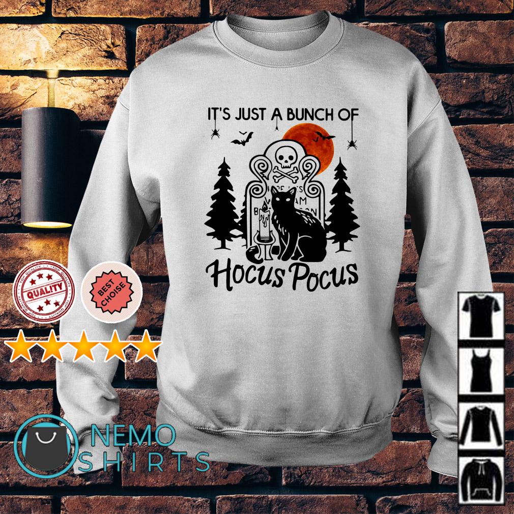 Cat it's just a bunch of Hocus Pocus Sweater