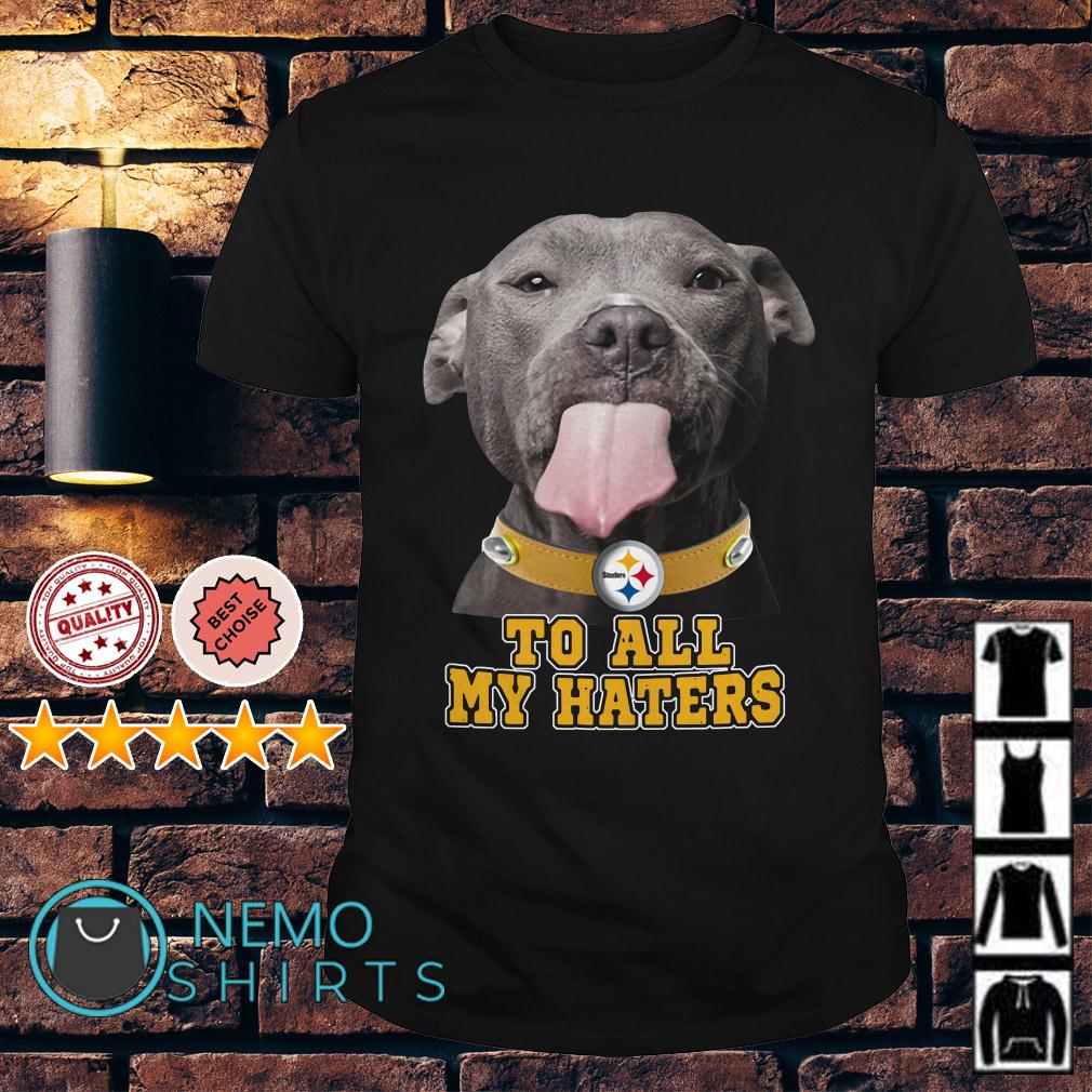 Pitbull to all my haters Pittsburgh Steelers shirt, hoodie and sweater